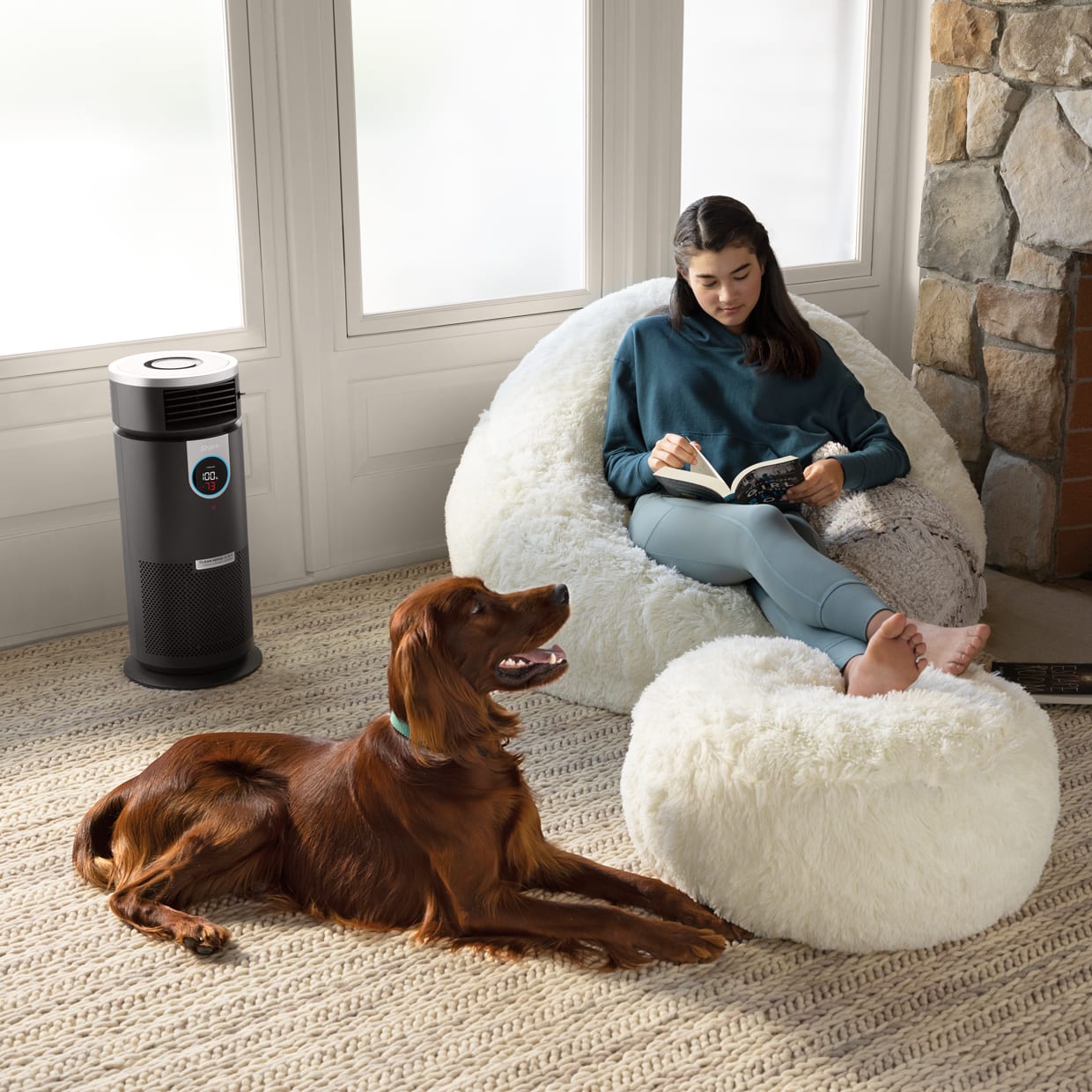 Air Purifiers with HEPA Filtration Shark Clean